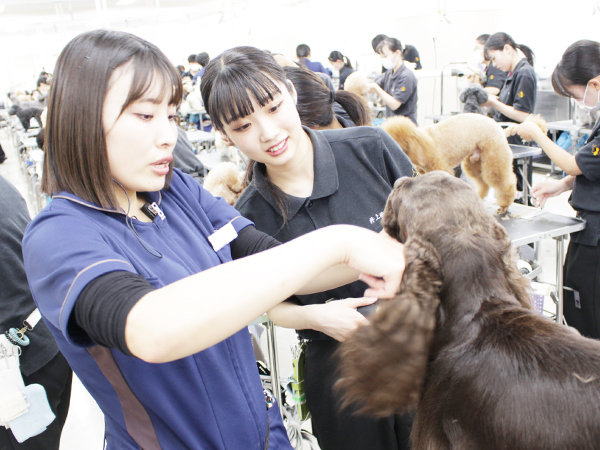 本日もかわいいお客様が来校♪